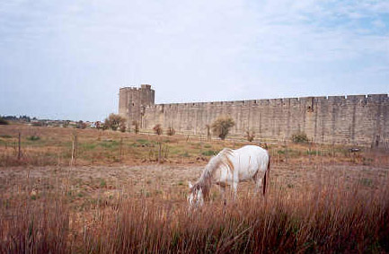 Aigues Mortes a kun