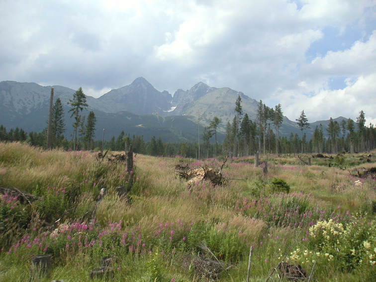 good bye Tatry